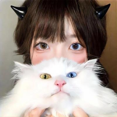 卡桑德拉大桥国语